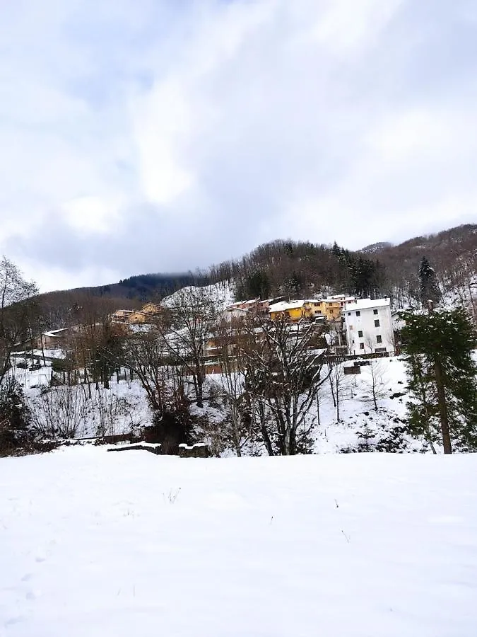 Affittacamere Casa Dora Home Retreat Montepiano Italia